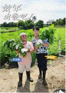一起去岛上住七天 旅行综艺海报