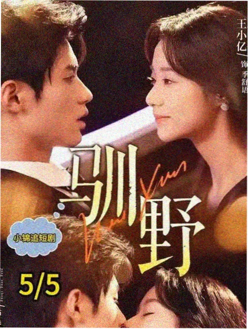 回声档案 刑侦悬疑剧封面